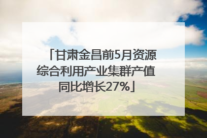 甘肃金昌前5月资源综合利用产业集群产值同比增长27%