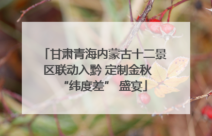 甘肃青海内蒙古十二景区联动入黔 定制金秋 “纬度差” 盛宴