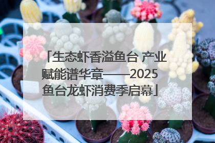 生态虾香溢鱼台 产业赋能谱华章——2025鱼台龙虾消费季启幕