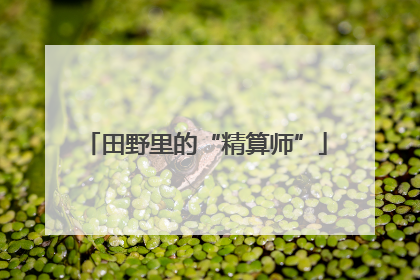 田野里的“精算师”