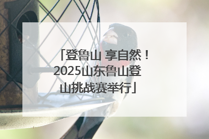 登鲁山 享自然！2025山东鲁山登山挑战赛举行