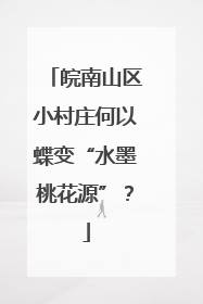 皖南山区小村庄何以蝶变“水墨桃花源”？