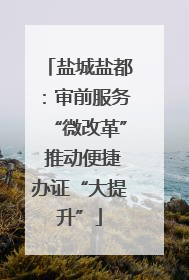 盐城盐都：审前服务“微改革” 推动便捷办证“大提升”