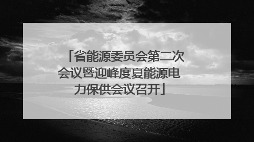 省能源委员会第二次会议暨迎峰度夏能源电力保供会议召开