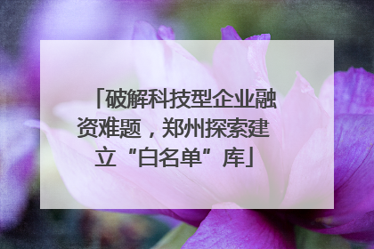 破解科技型企业融资难题，郑州探索建立“白名单”库