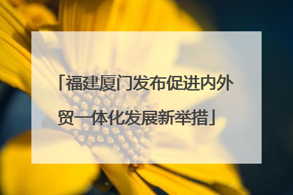 福建厦门发布促进内外贸一体化发展新举措