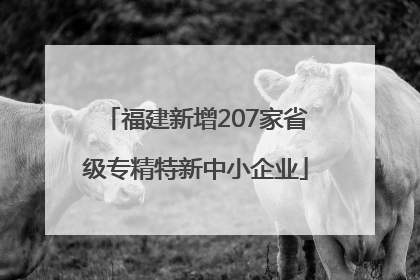 福建新增207家省级专精特新中小企业