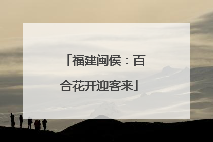 福建闽侯：百合花开迎客来