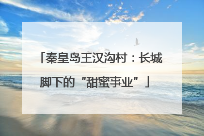 秦皇岛王汉沟村：长城脚下的“甜蜜事业”