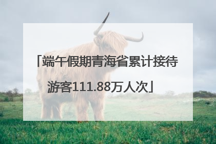 端午假期青海省累计接待游客111.88万人次