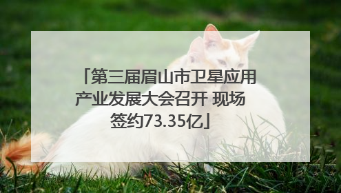 第三届眉山市卫星应用产业发展大会召开 现场签约73.35亿