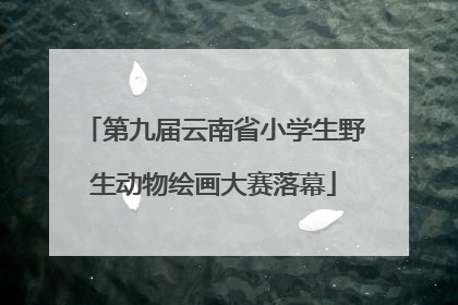第九届云南省小学生野生动物绘画大赛落幕