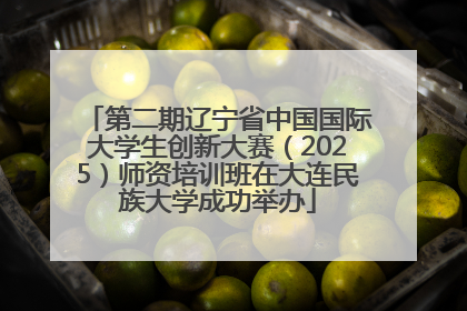 第二期辽宁省中国国际大学生创新大赛（2025）师资培训班在大连民族大学成功举办