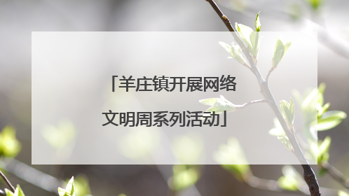 羊庄镇开展网络文明周系列活动