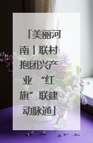 美丽河南丨联村抱团兴产业 “红旗”联建动脉通