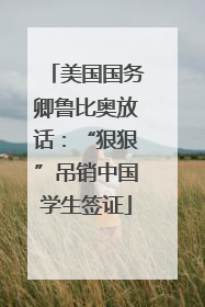 美国国务卿鲁比奥放话：“狠狠”吊销中国学生签证