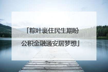 粽叶裹住民生期盼 公积金融通安居梦想