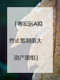粤宏远A拟终止筹划重大资产重组