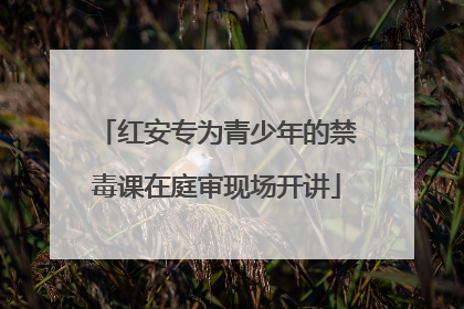 红安专为青少年的禁毒课在庭审现场开讲