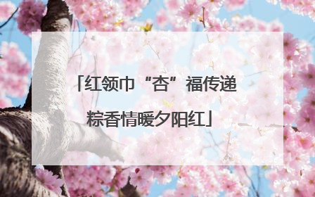 红领巾“杏”福传递 粽香情暖夕阳红