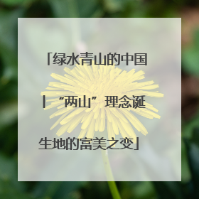 绿水青山的中国丨“两山”理念诞生地的富美之变
