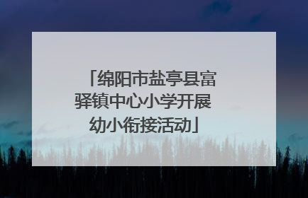 绵阳市盐亭县富驿镇中心小学开展幼小衔接活动