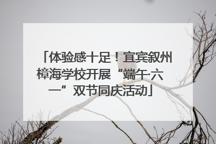 体验感十足！宜宾叙州樟海学校开展“端午·六一”双节同庆活动