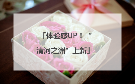 体验感UP！“清河之洲”上新