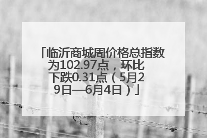 临沂商城周价格总指数为102.97点，环比下跌0.31点（5月29日—6月4日）