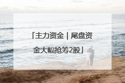 主力资金｜尾盘资金大幅抢筹2股
