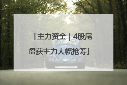 主力资金｜4股尾盘获主力大幅抢筹