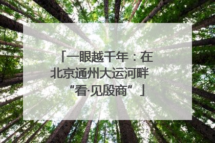 一眼越千年：在北京通州大运河畔“看·见殷商”