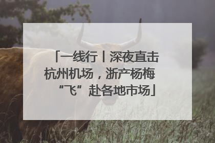一线行丨深夜直击杭州机场，浙产杨梅“飞”赴各地市场