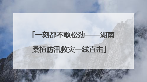 一刻都不敢松劲——湖南桑植防汛救灾一线直击