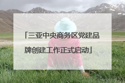 三亚中央商务区党建品牌创建工作正式启动