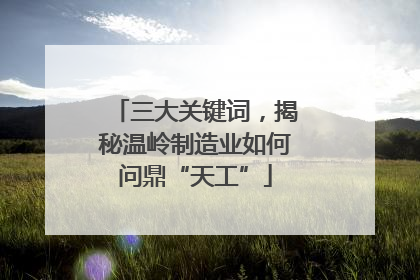 三大关键词，揭秘温岭制造业如何问鼎“天工”