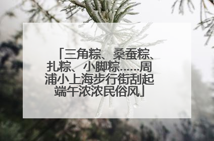 三角粽、桑蚕粽、扎粽、小脚粽……周浦小上海步行街刮起端午浓浓民俗风