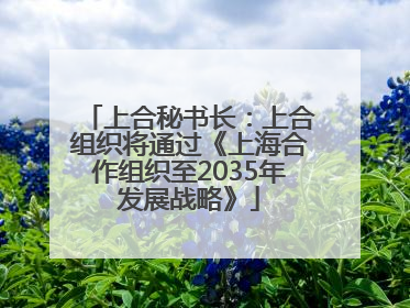 上合秘书长：上合组织将通过《上海合作组织至2035年发展战略》