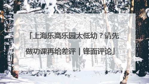 上海乐高乐园太低幼？请先做功课再给差评｜锋面评论