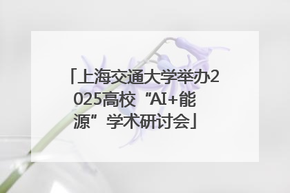 上海交通大学举办2025高校“AI+能源”学术研讨会