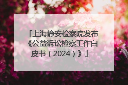 上海静安检察院发布《公益诉讼检察工作白皮书（2024）》