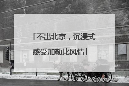 不出北京，沉浸式感受加勒比风情