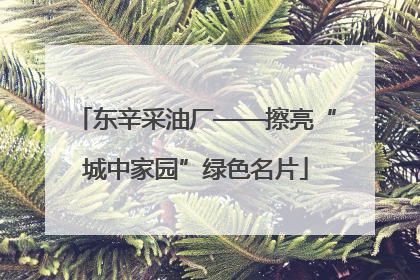 东辛采油厂——擦亮“城中家园”绿色名片