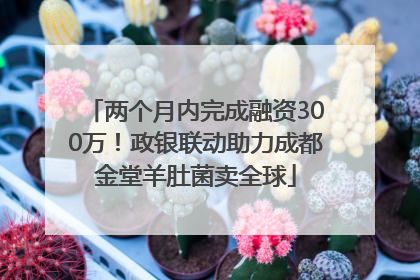两个月内完成融资300万！政银联动助力成都金堂羊肚菌卖全球