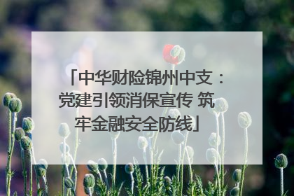 中华财险锦州中支：党建引领消保宣传 筑牢金融安全防线