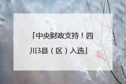 中央财政支持！四川3县（区）入选