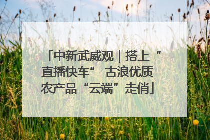 中新武威观｜搭上“直播快车” 古浪优质农产品“云端”走俏
