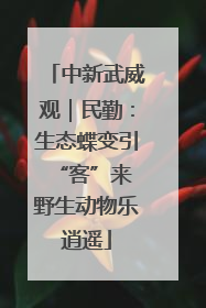 中新武威观｜民勤：生态蝶变引“客”来 野生动物乐逍遥