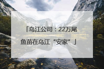 乌江公司：22万尾鱼苗在乌江“安家”