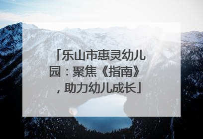 乐山市惠灵幼儿园：聚焦《指南》，助力幼儿成长